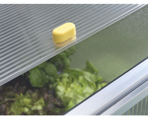 JUWEL Biostar Protect 1000 kweekkas inclusief ongedierte- en weersbescherming, 100 x 75 cm
