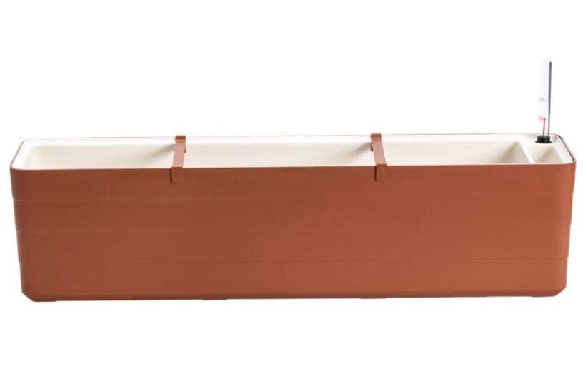 Blumenkasten »Plastia Berberis 80 cm«