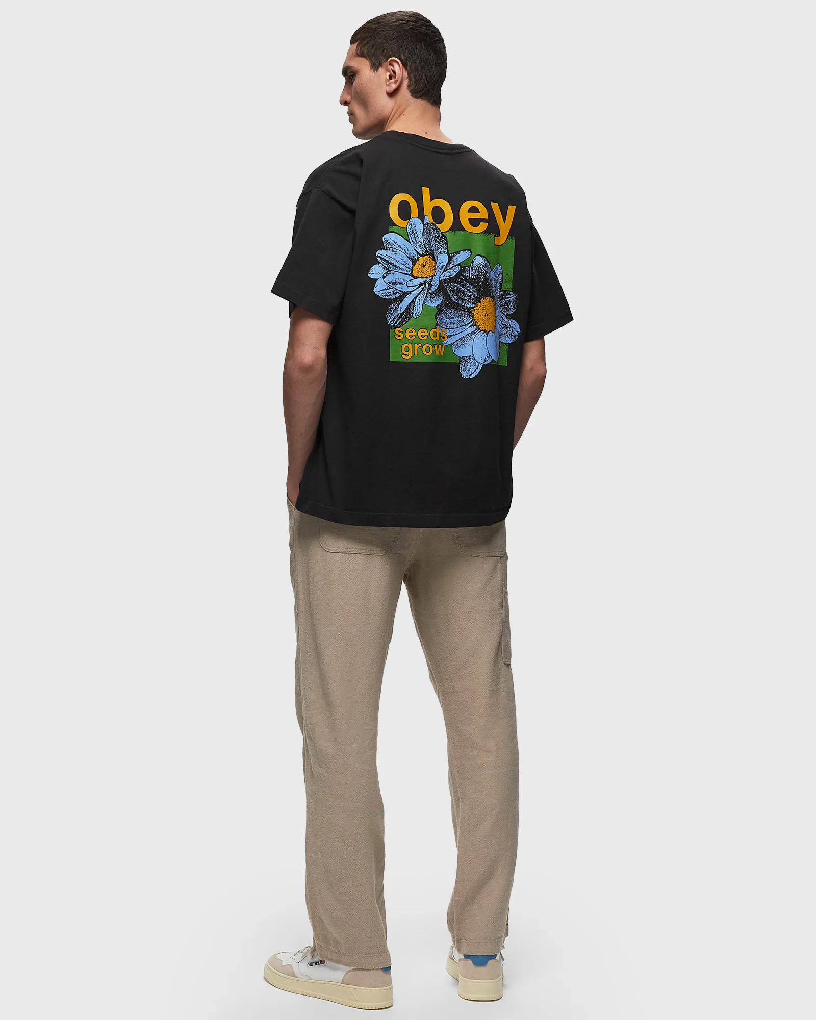 Obey Obey seeds grow