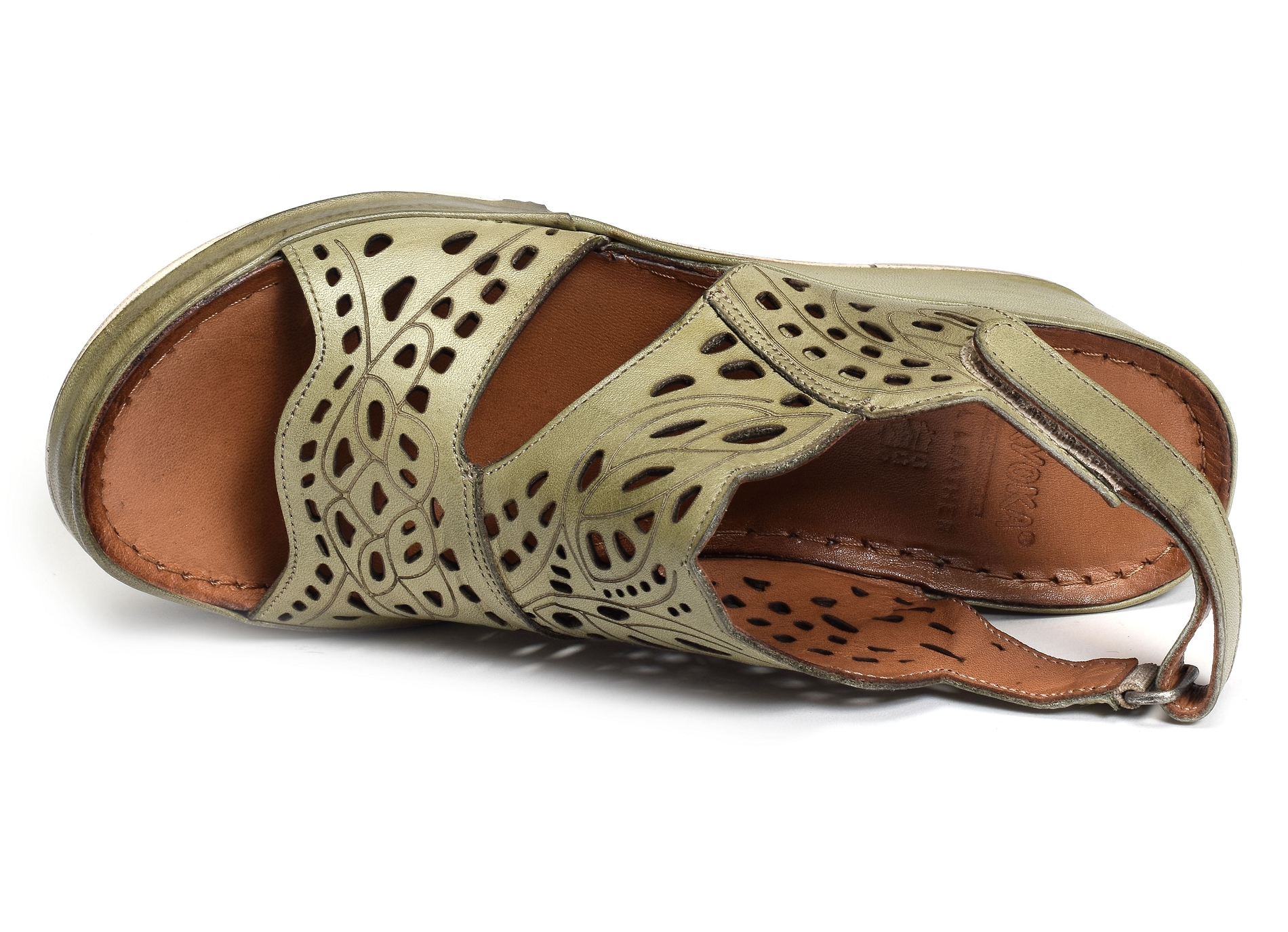 Fanal kaki