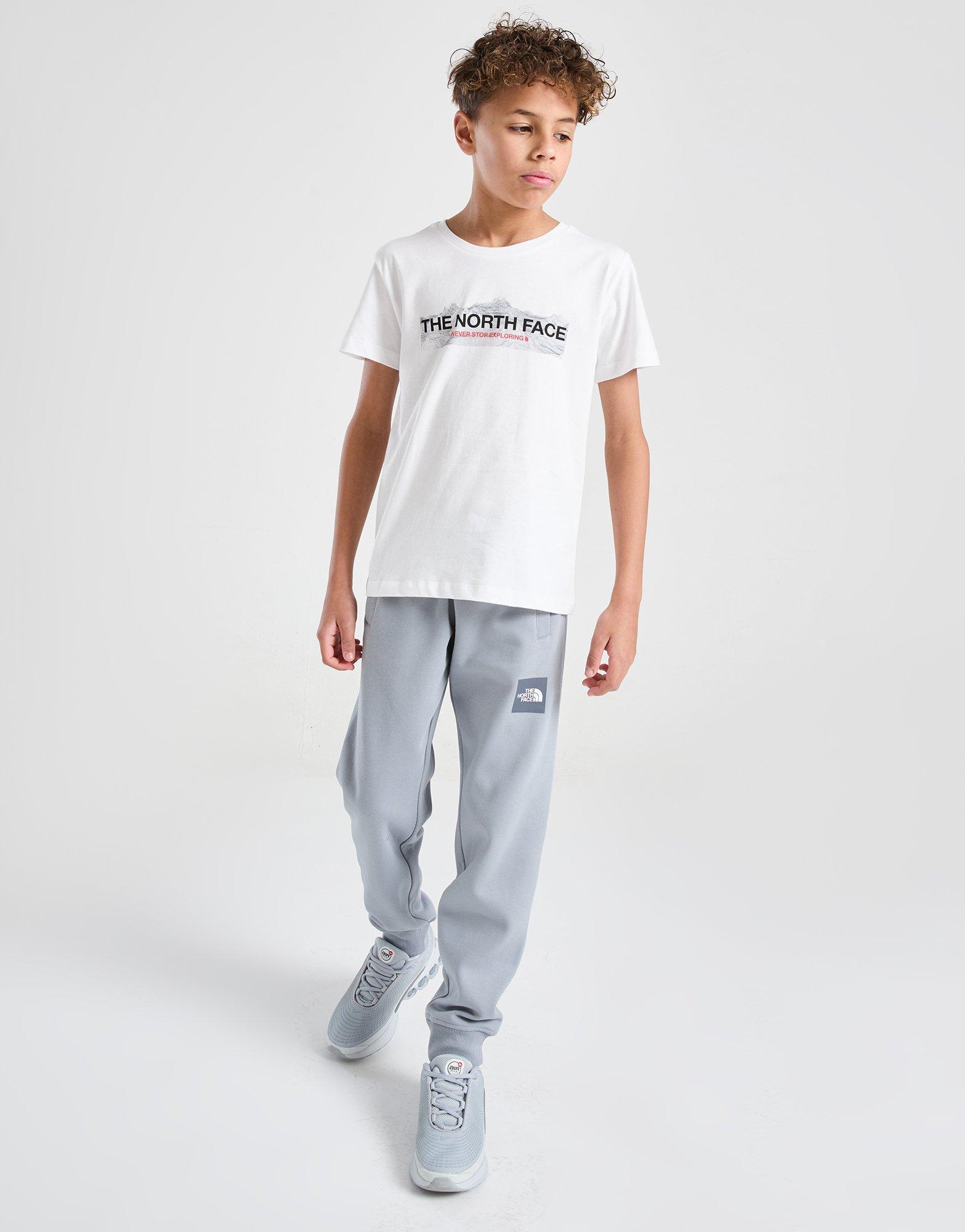 The North Face T-shirt Mountain Junior