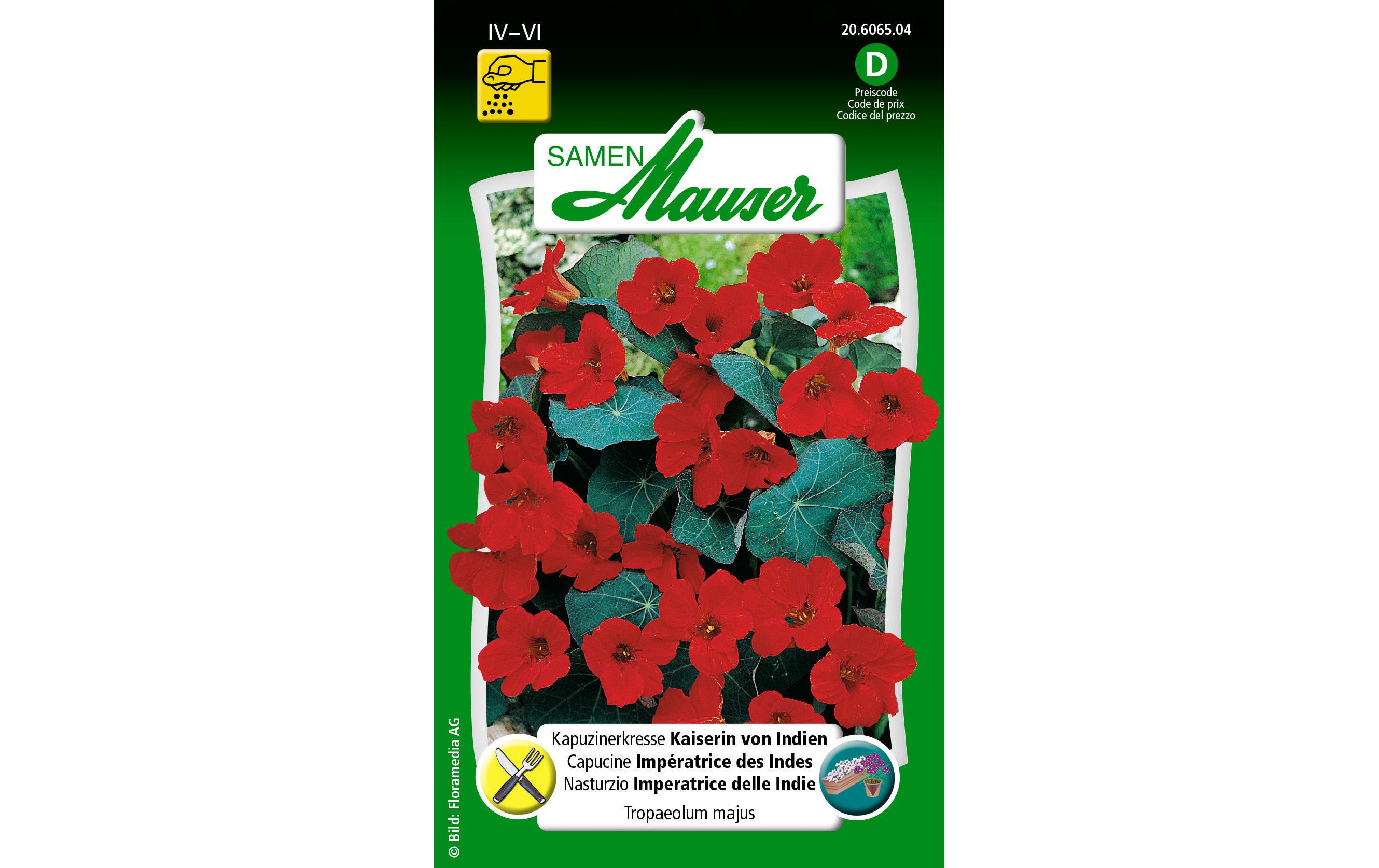 Essbare Blüten Kapuzinerkresse Kaiserin von IndienBlumensamen