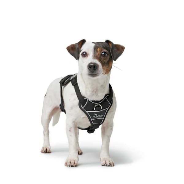 Hundesele Hunter DIVO UP Svart L/XL
