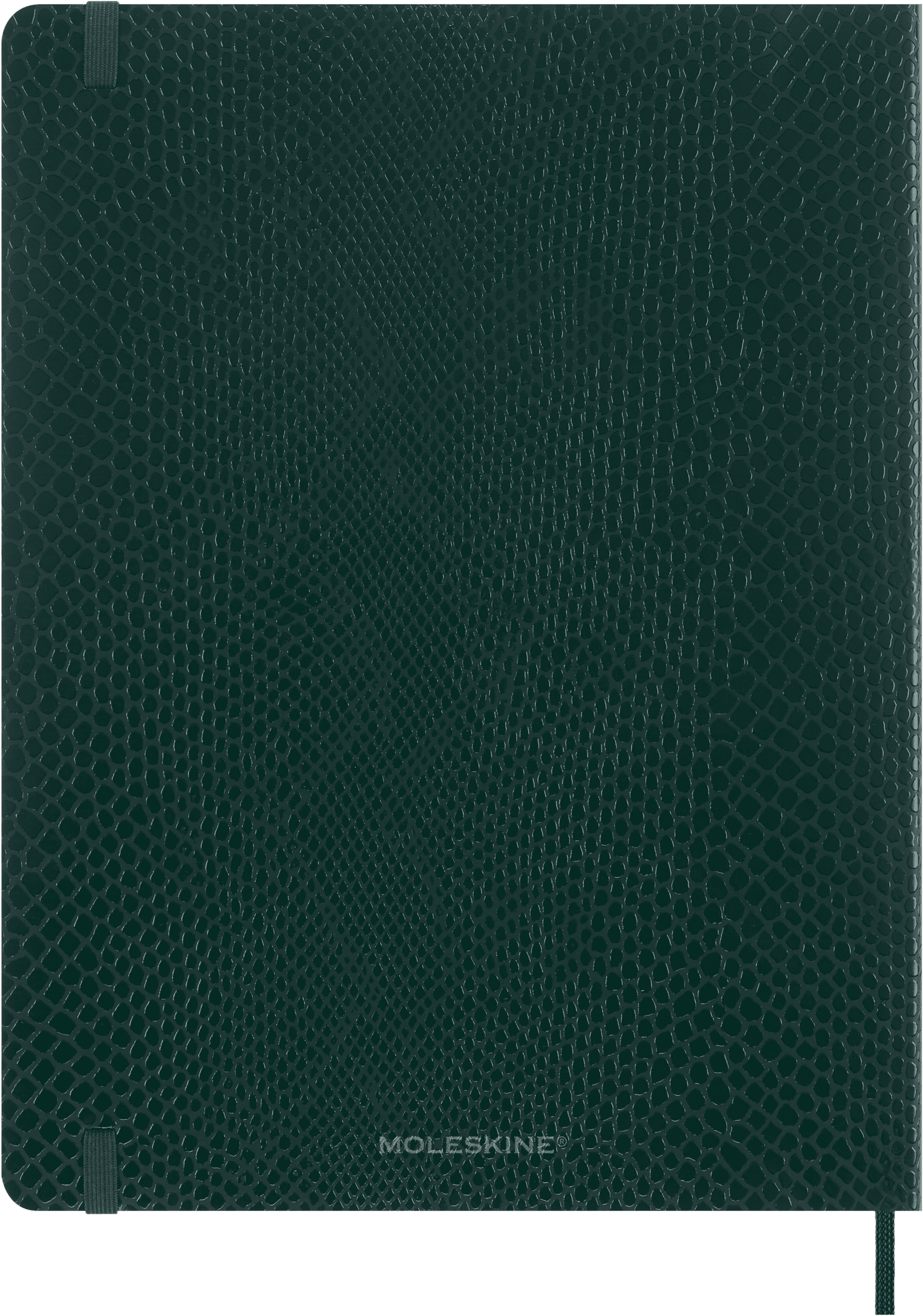 Precious & Ethical Notebook Vegan Soft Cover, Python-effect, Ruled