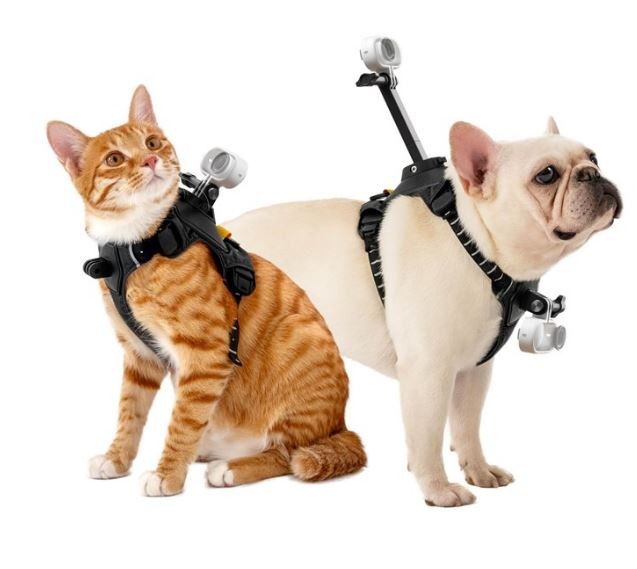 Insta360 - GO 3/GO 3S Pet Harness Mount Size M