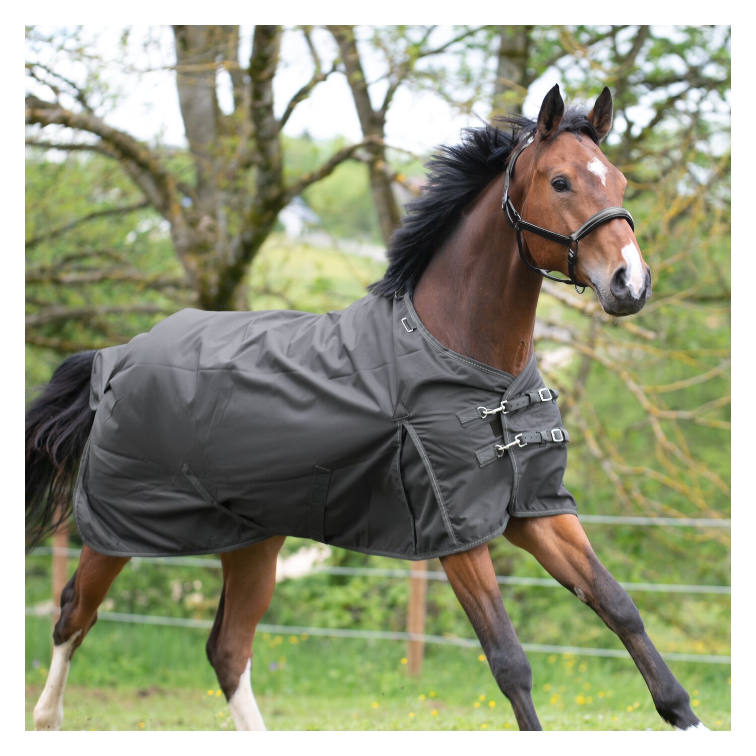 IRISh INNOVATION Outdoordecke Charlotte 100g - darkgrey