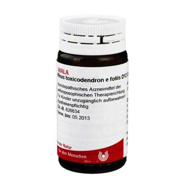 Rhus toxicodendron E foliis D 12 Globuli, 20 g