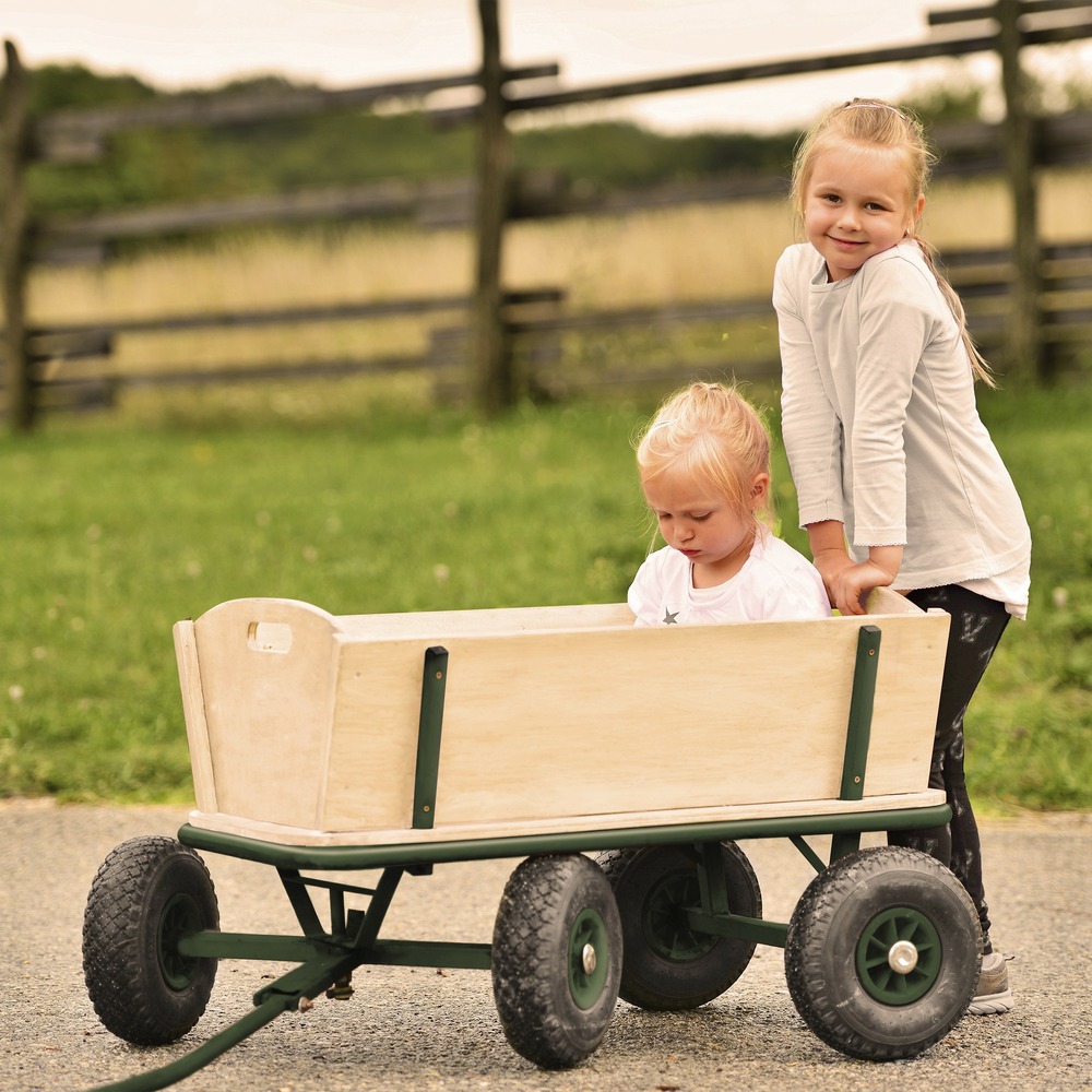 Sunny billy chariot de transport en bois