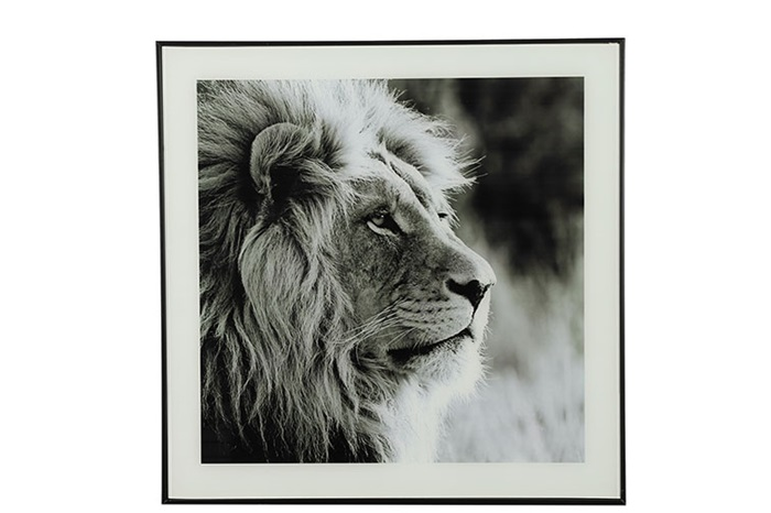 Schilderij leeuw Wild Life