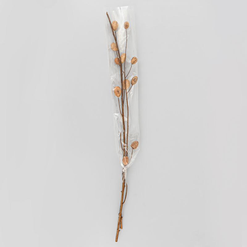 2 branches 'Lady' marron