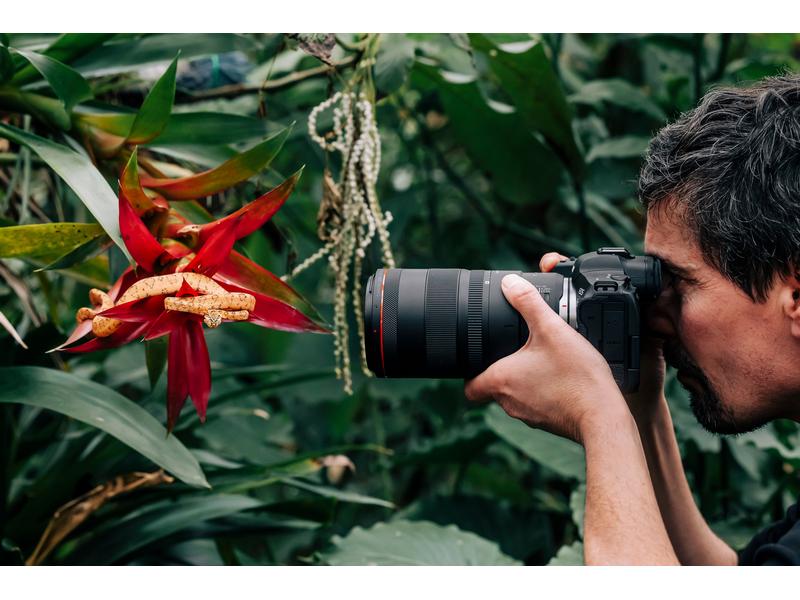 Canon Festbrennweite RF 100mm F/2.8 L Macro IS USM – Canon Makroobjektiv mit einer unglaublichen 1.4-fachen Vergrösserung