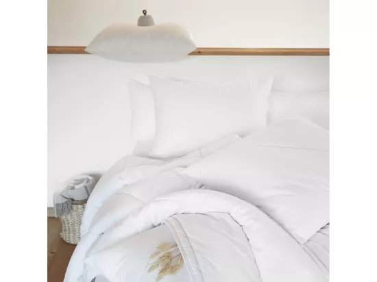 SOFTLINE - Oreiller Coton anti-acariens 60 x 60 cm