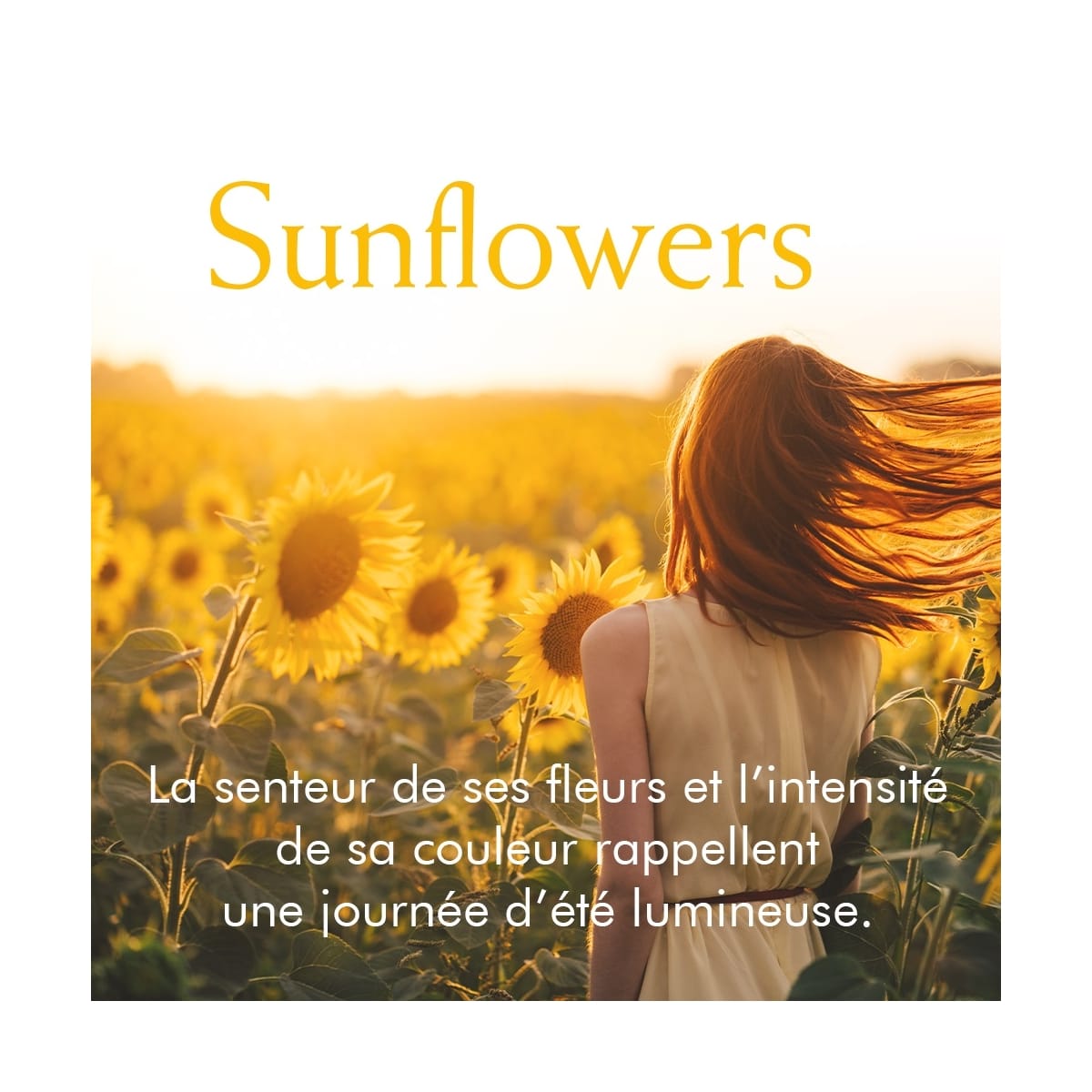 Elizabeth Arden Sunflowers Eau de Toilette