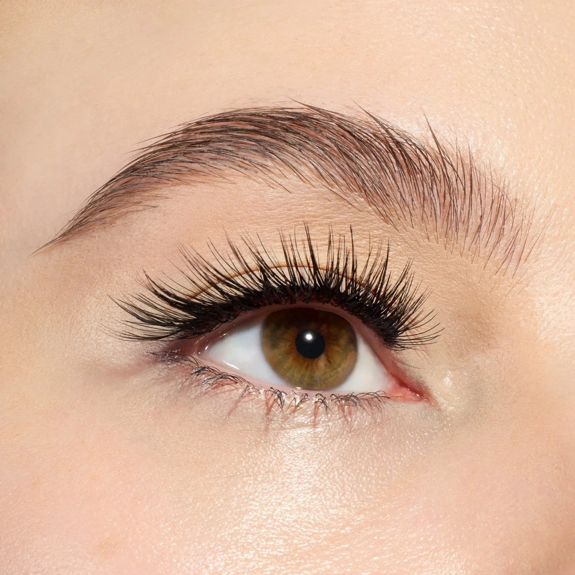 Cateyes! False Lashes 01 Catwalk
