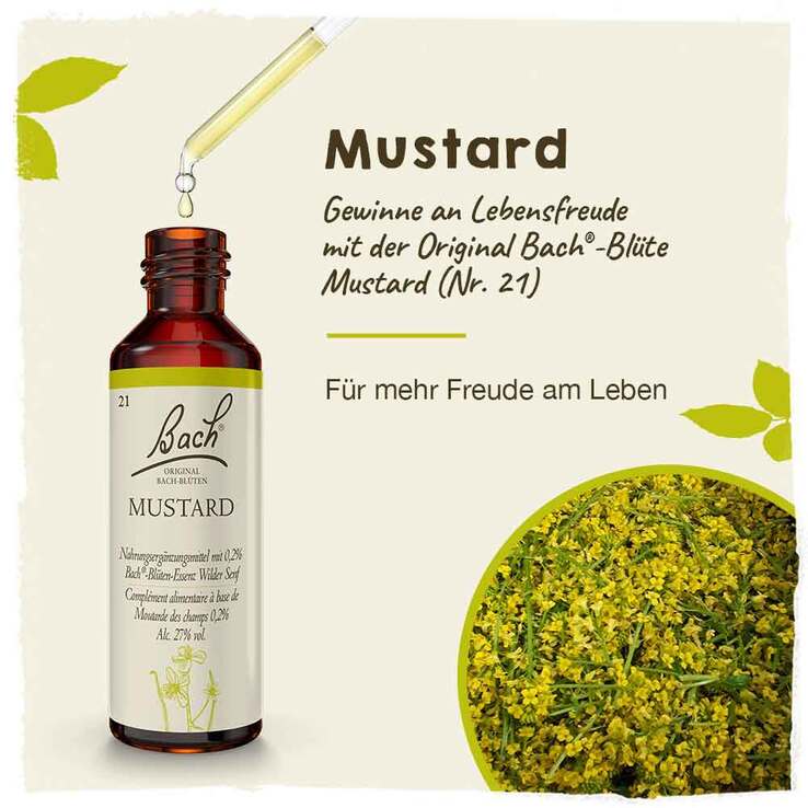 Bachblüten Nr. 21 Mustard Tropfen, 20 ml