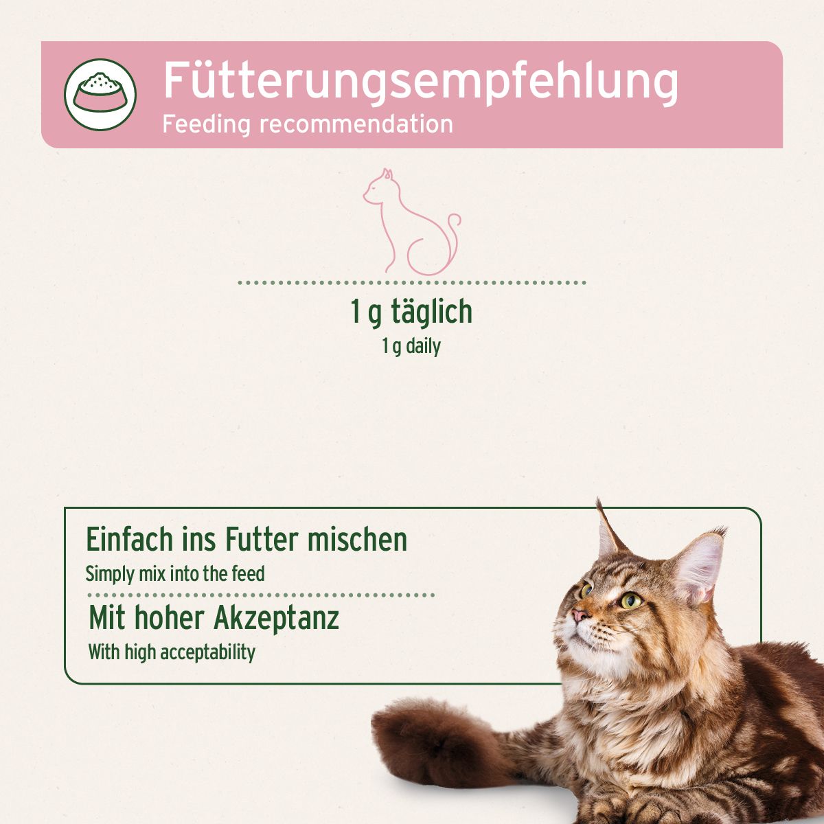 AniForte 4in1 Complete Cat