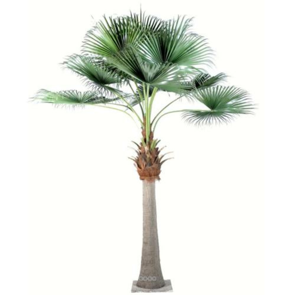 Palmier chamaerops artificiel 690 cm de toute beaute