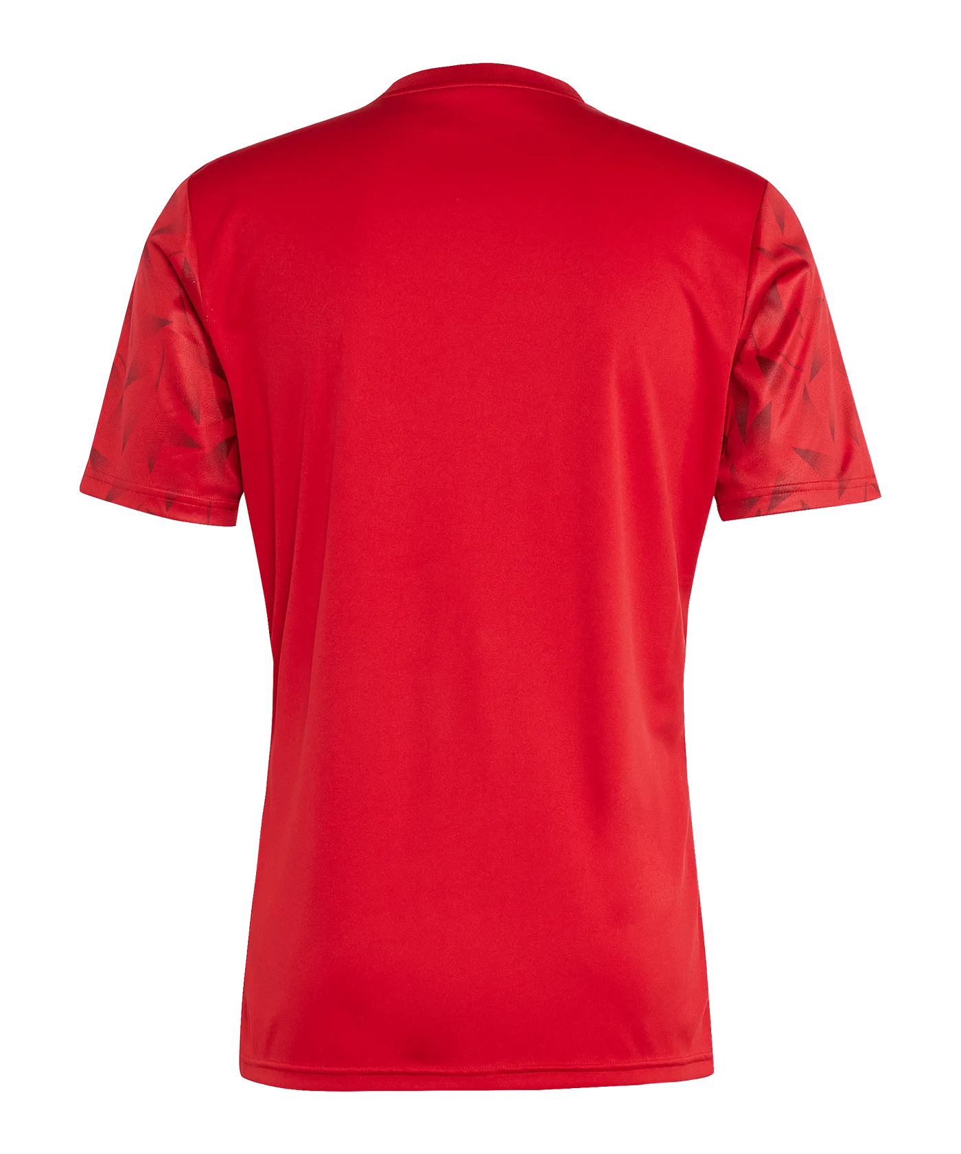 adidas Team Icon 25 Trikot Rot