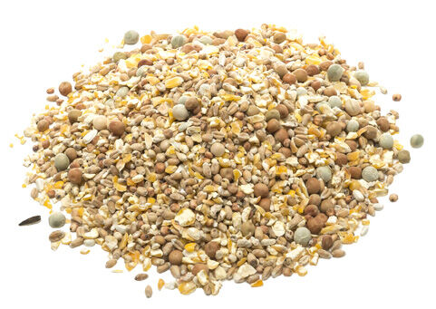 Welkoop sierduivenvoer - 5 Kilogram