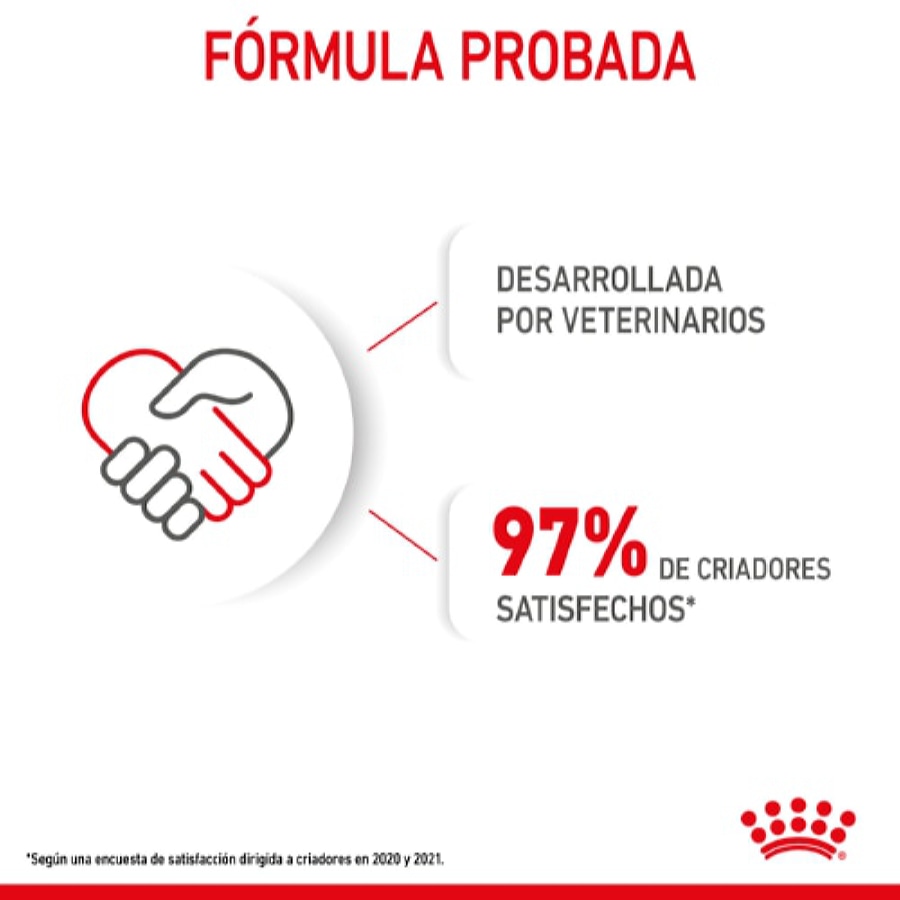 Ração Royal Canin Mini Puppy para cães