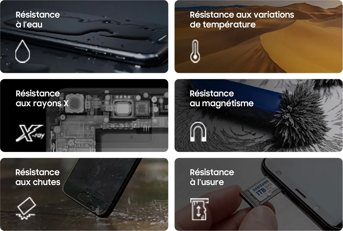 Samsung MicroSDXC EVO Plus 512 Go (2024) Cartes mémoires
