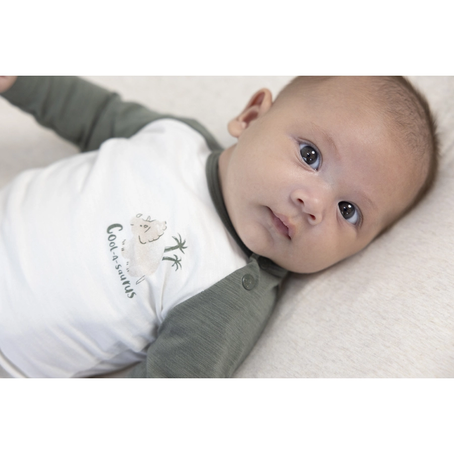 Feetje Langarmshirt Cool-A-Saurus Natur
