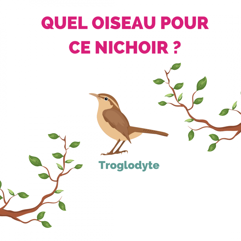 Nichoir en jonc de mer, ø du trou 35mm. Pour oiseaux troglodyte.