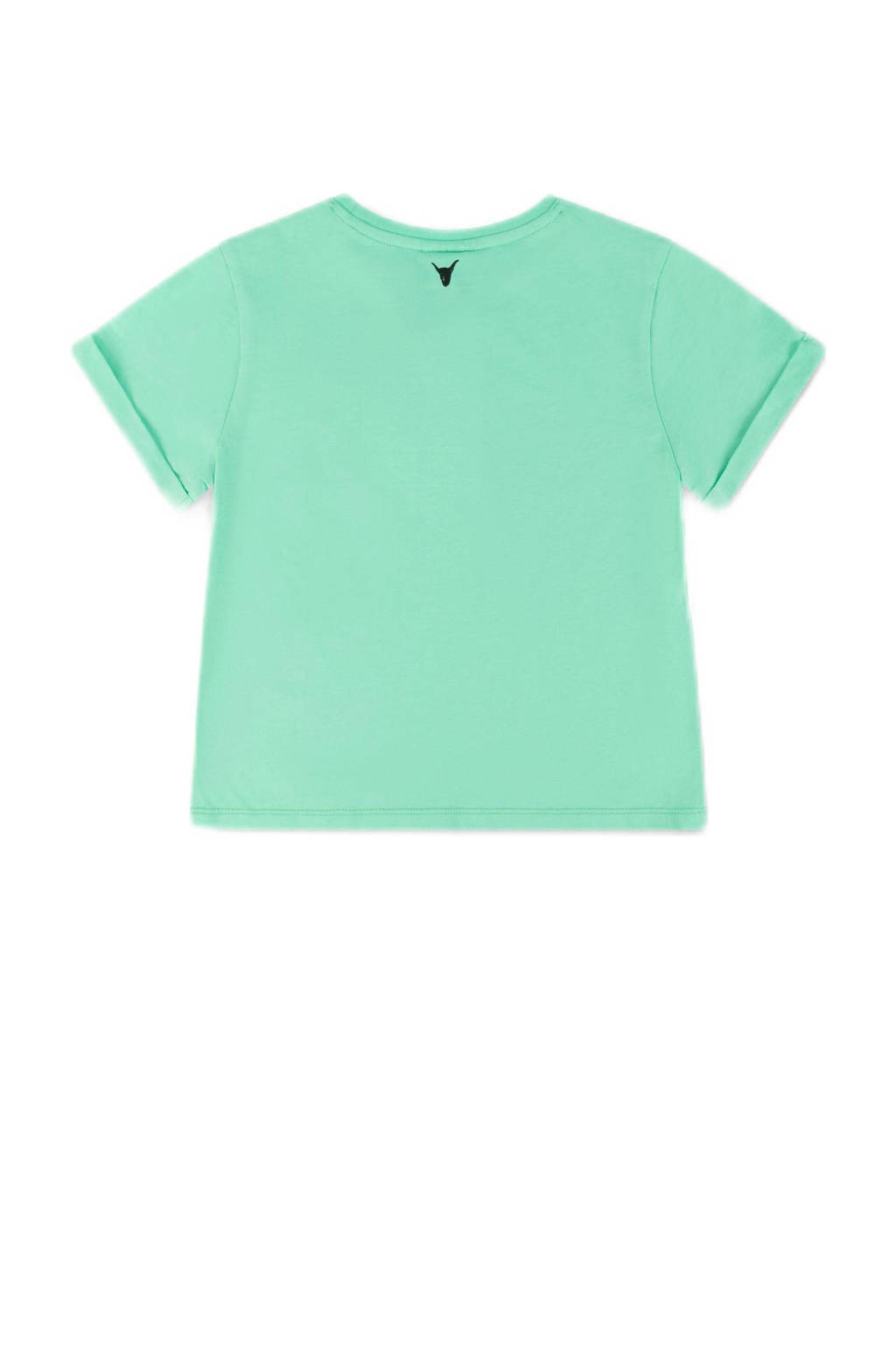 Alix the Label T-shirt met printopdruk mintgroen