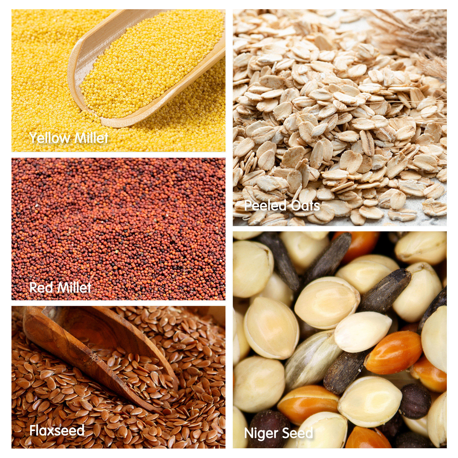 Nobleza - (500g) Alimento para Periquitos, Alimento Premium para Pássaros, Saudável e Saboroso
