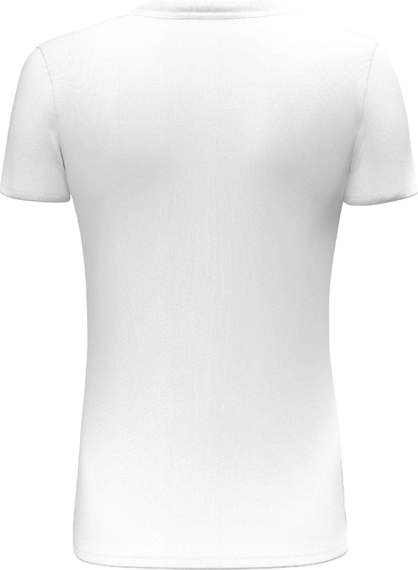 Salewa Pure Design Dry T-shirt W's