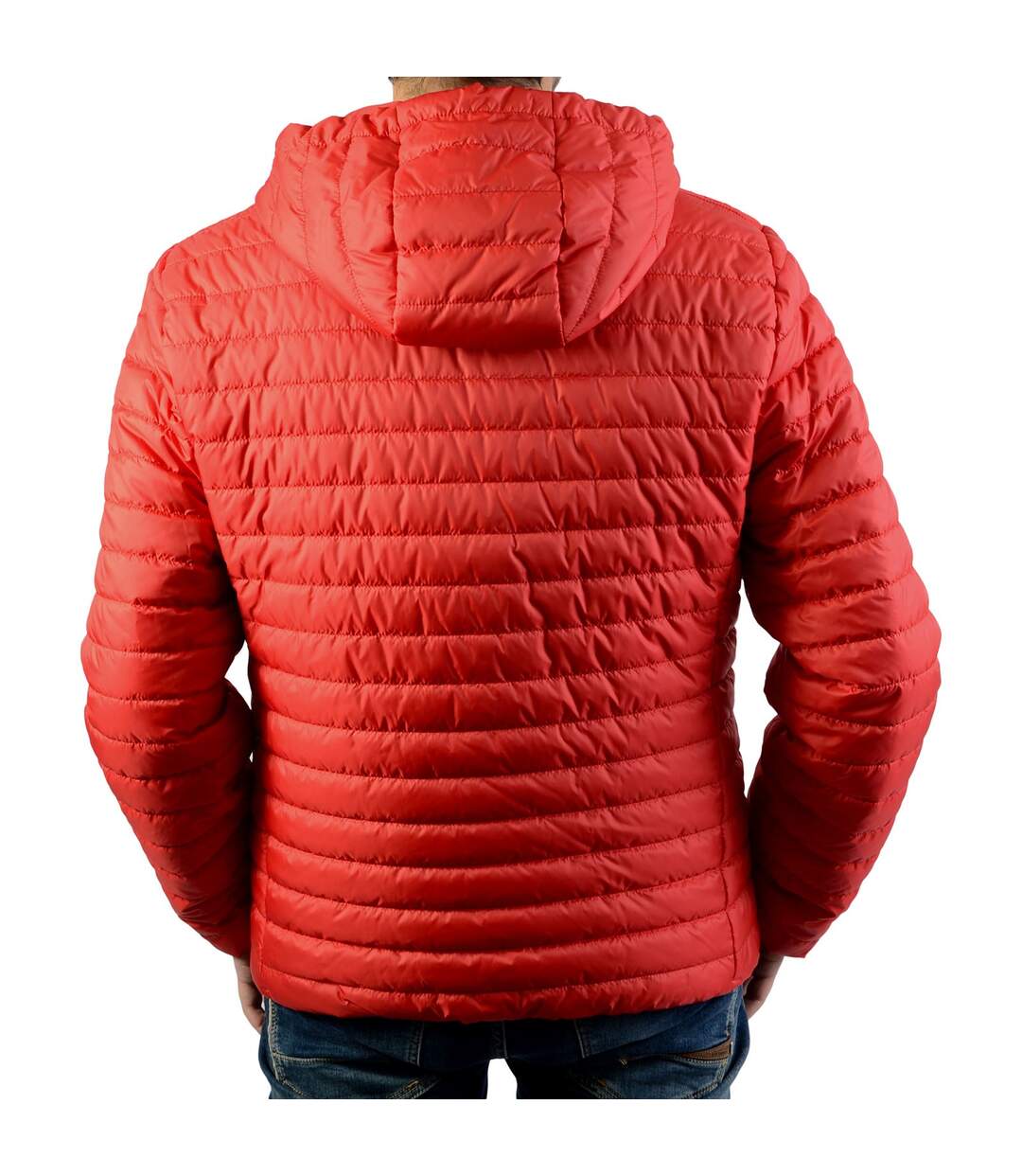 Doudoune Geox Wilmer Hood