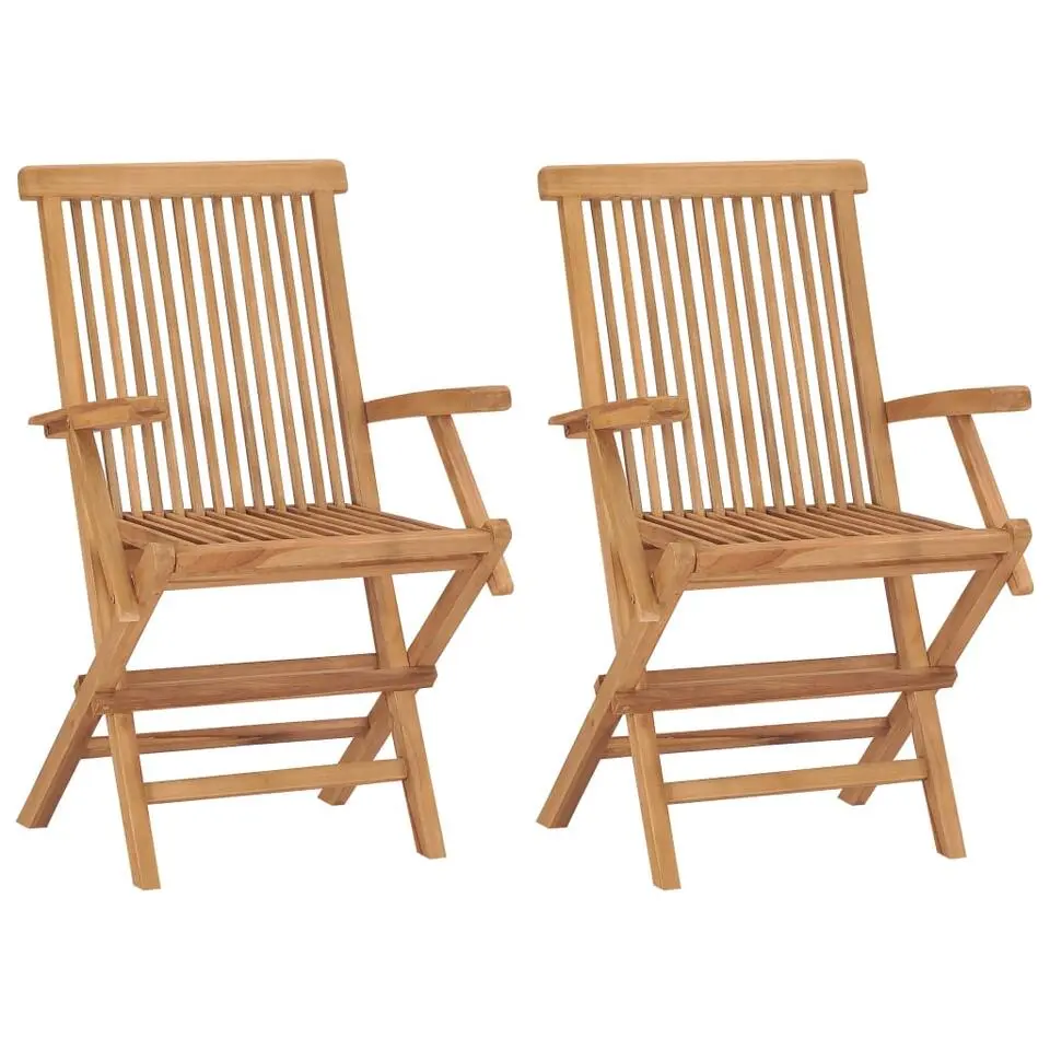 vidaXL - Tuinstoelen - Inklapbaar - Massief teakhout - 2 stuks
