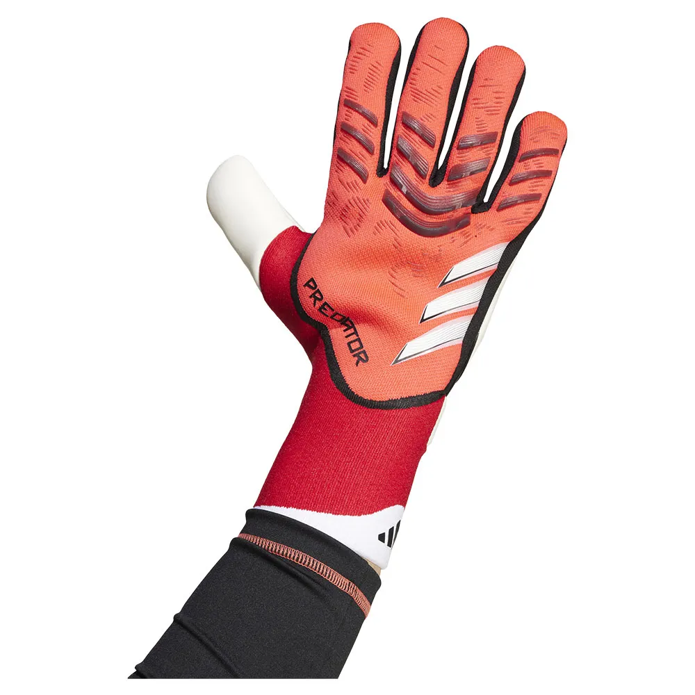 Luvas de treino para goleiro adidas Predator