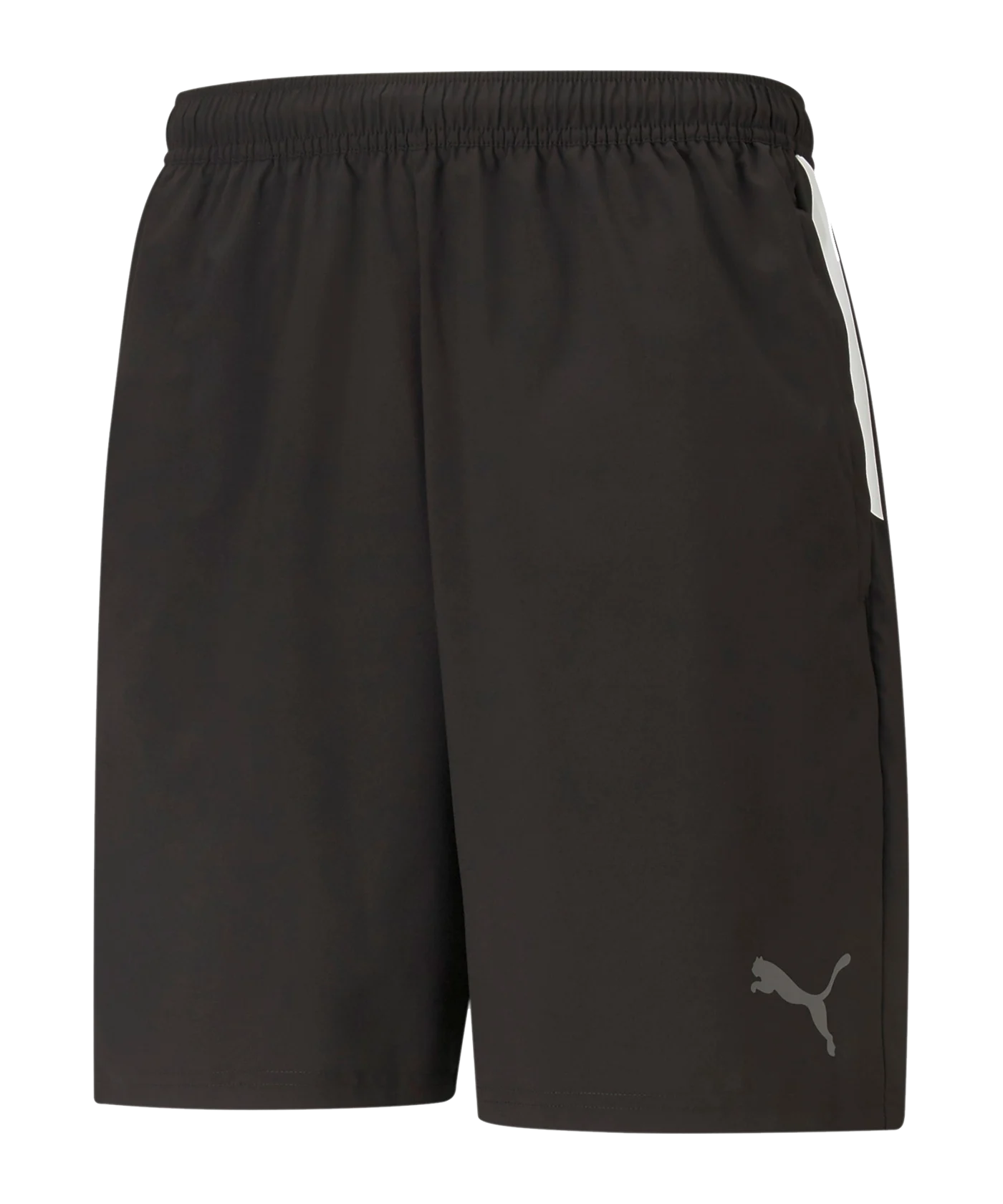 PUMA teamLIGA Sideline Shorts Schwarz F03