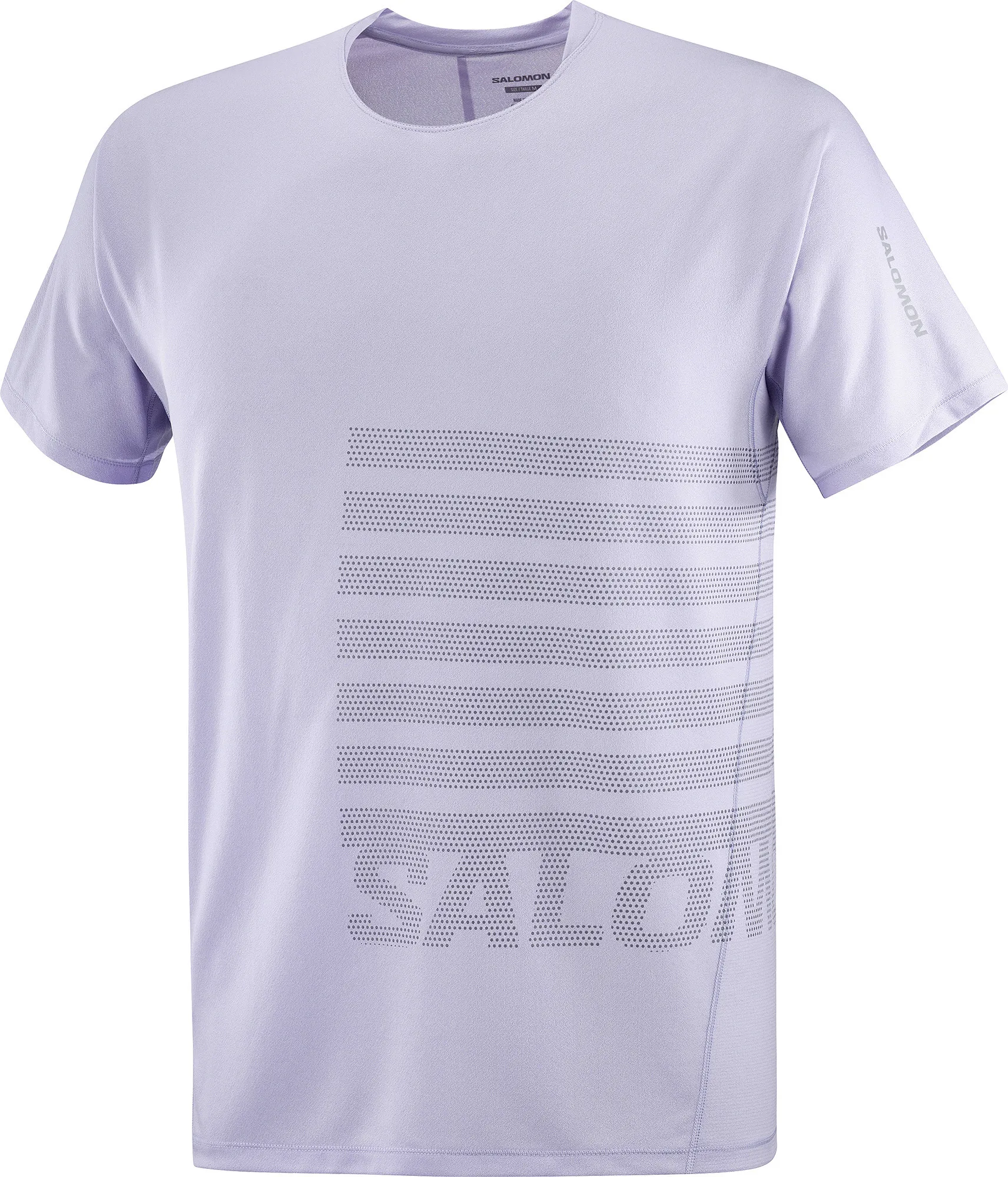 Salomon Men's Sense Aero Graphic Tee GFX Cosmic Sky/castelrock/