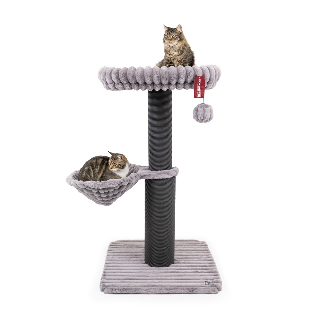 Canadian Cat Company Kratzbaum Louis