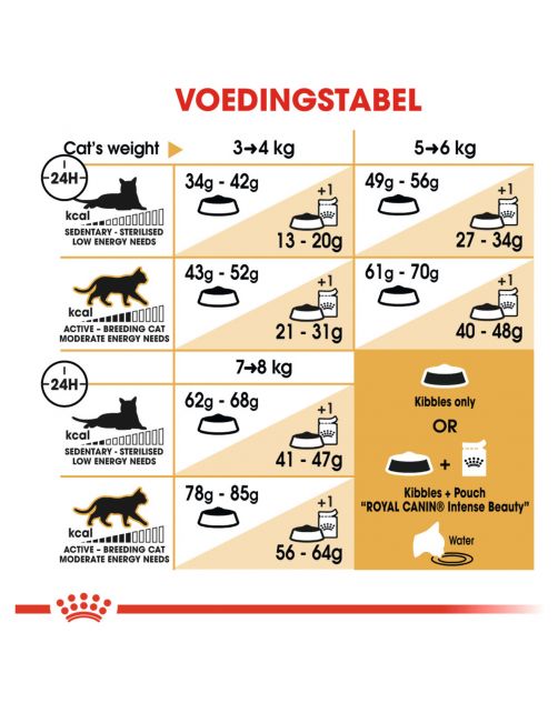 Royal Canin Ragdoll Adult - Kattenvoer
