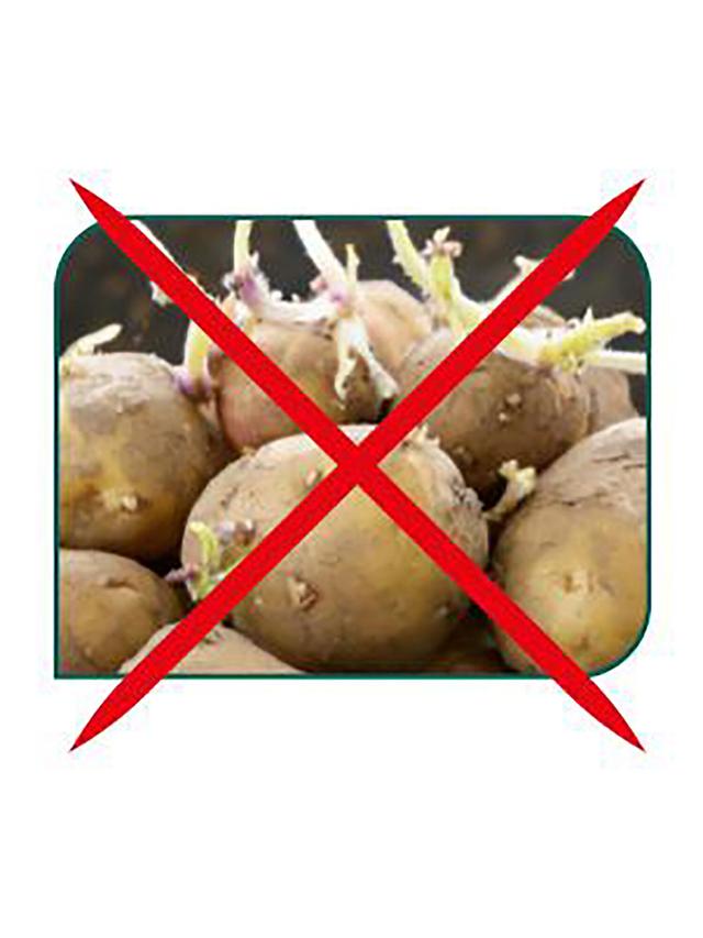 Frische Aufbewahrung für Kartoffeln