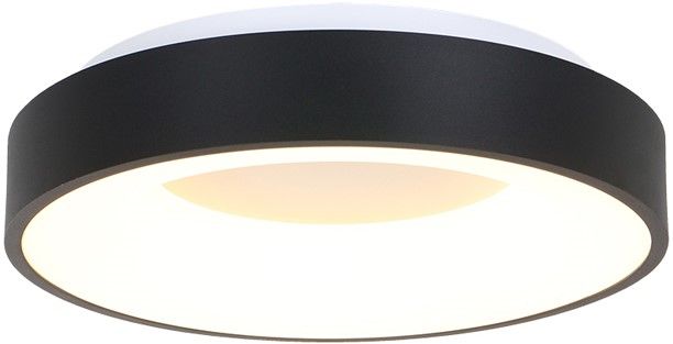 Plafondlamp 3086ZW Ringlede ⌀30  x H9 cm