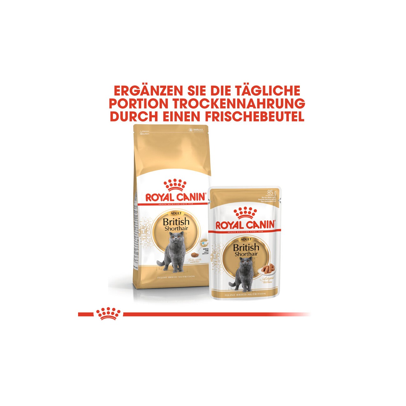 ROYAL CANIN British Shorthair Adult in Soße 12x85 g