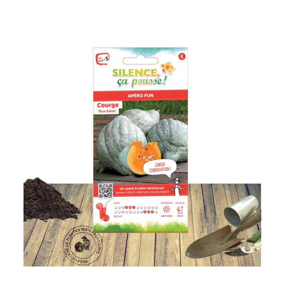 Graines de courge blue ballet/cucurbita maxima blue ballet[-]sachet de 1 gr.