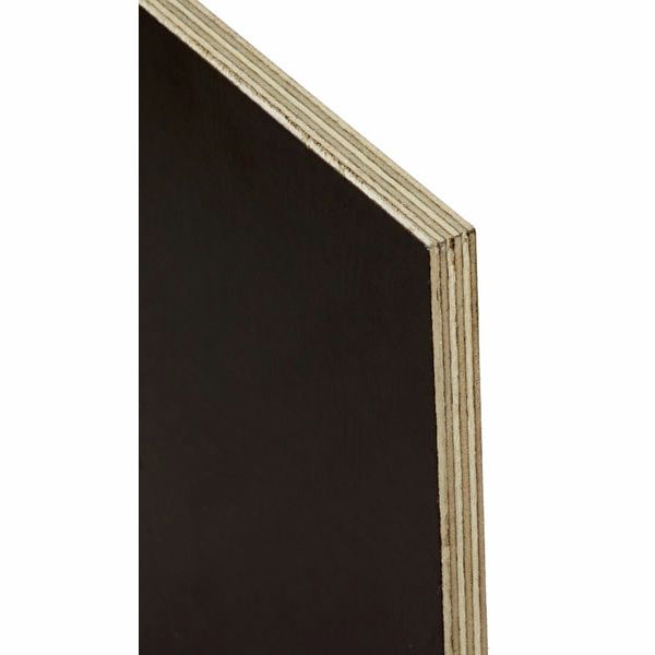 Thon Case Partition 50x50