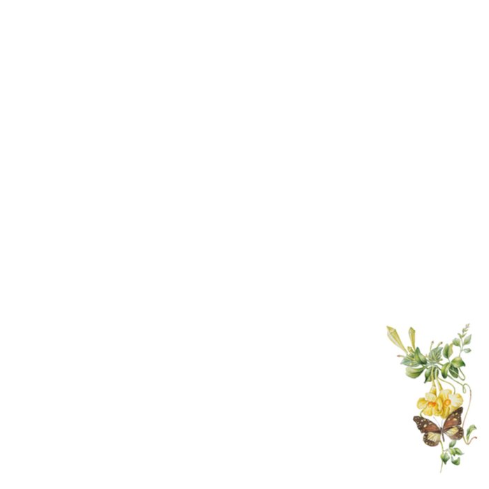 Janneke Brinkman | Nieuwe woning kaart | bloemen