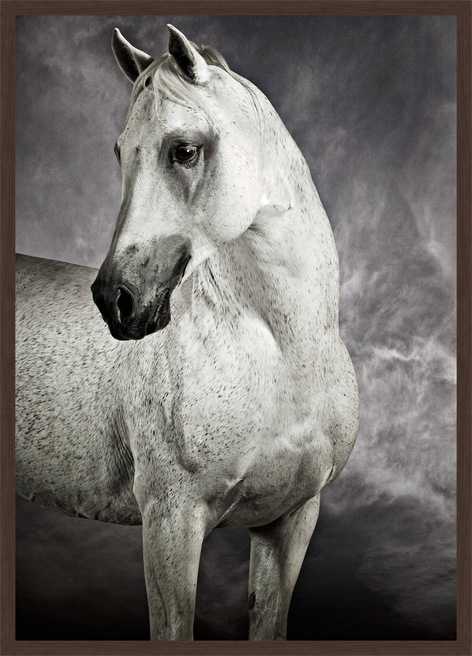 Arabian Racing Stallion by Tariq Dajani - Limited Edition. Edition of: 100. Signed.