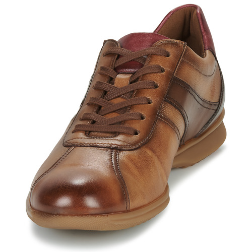 Lloyd - DAVOS - Cognac
