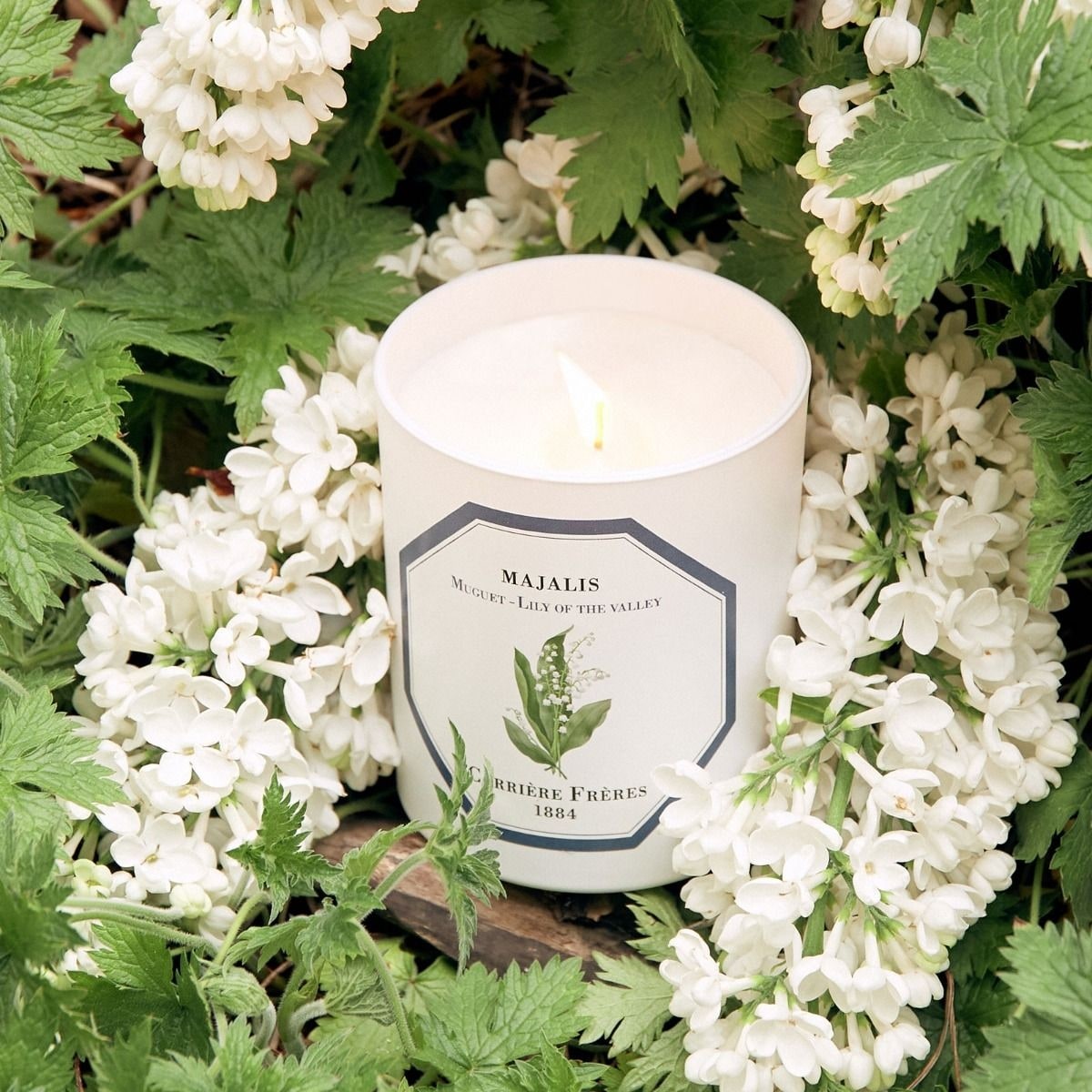 CARRIÈRE FRÈRES Muguet - Majalis Bougie Parfumée