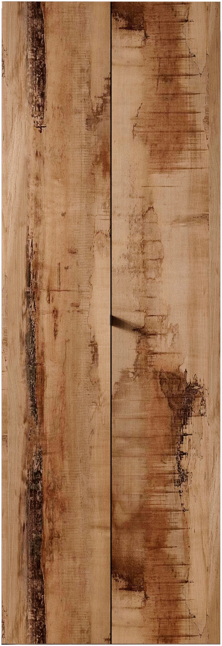 INOSIGN Aktenschrank »Basic, Büroschrank mit 2 Türen (innen 3 Einlegeböden),« hoher Mehrzweckschrank in verschiedenen Farben, B 63 x H 184 cm