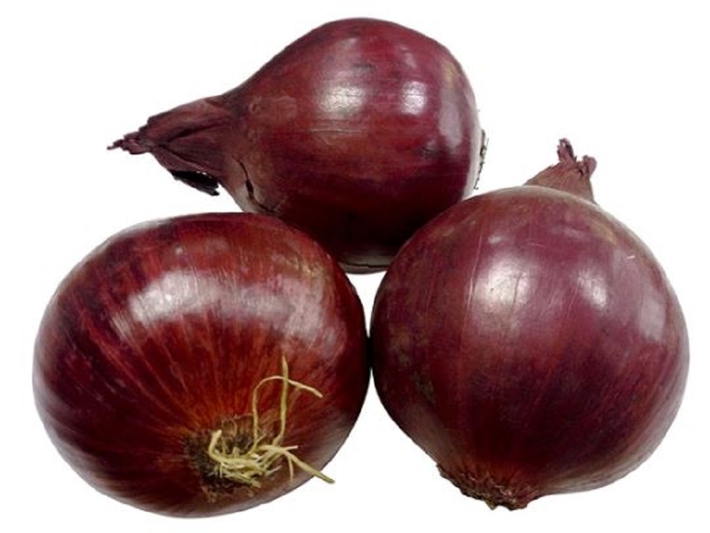 CEBOLA ROXA BIO 1KG
