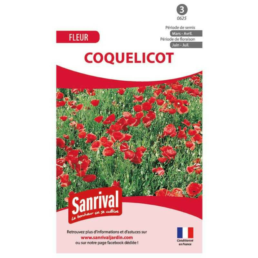 Graines de coquelicot