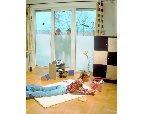 dc-fix® zelfklevende glasdecoratiefolie Sneeuw 45x200 cm